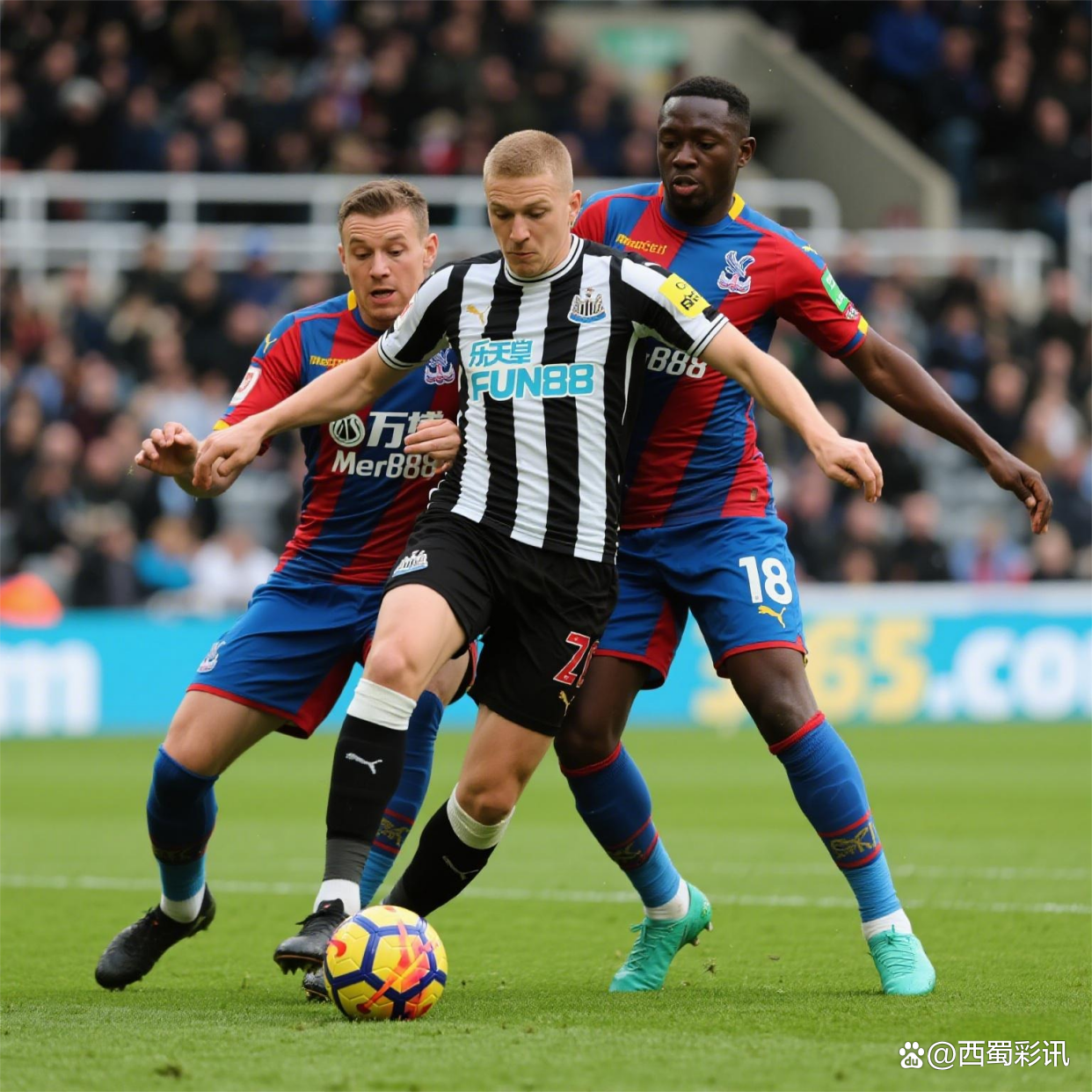 纽卡斯尔联客场绝杀水晶宫，力挽狂澜取得胜利的简单介绍