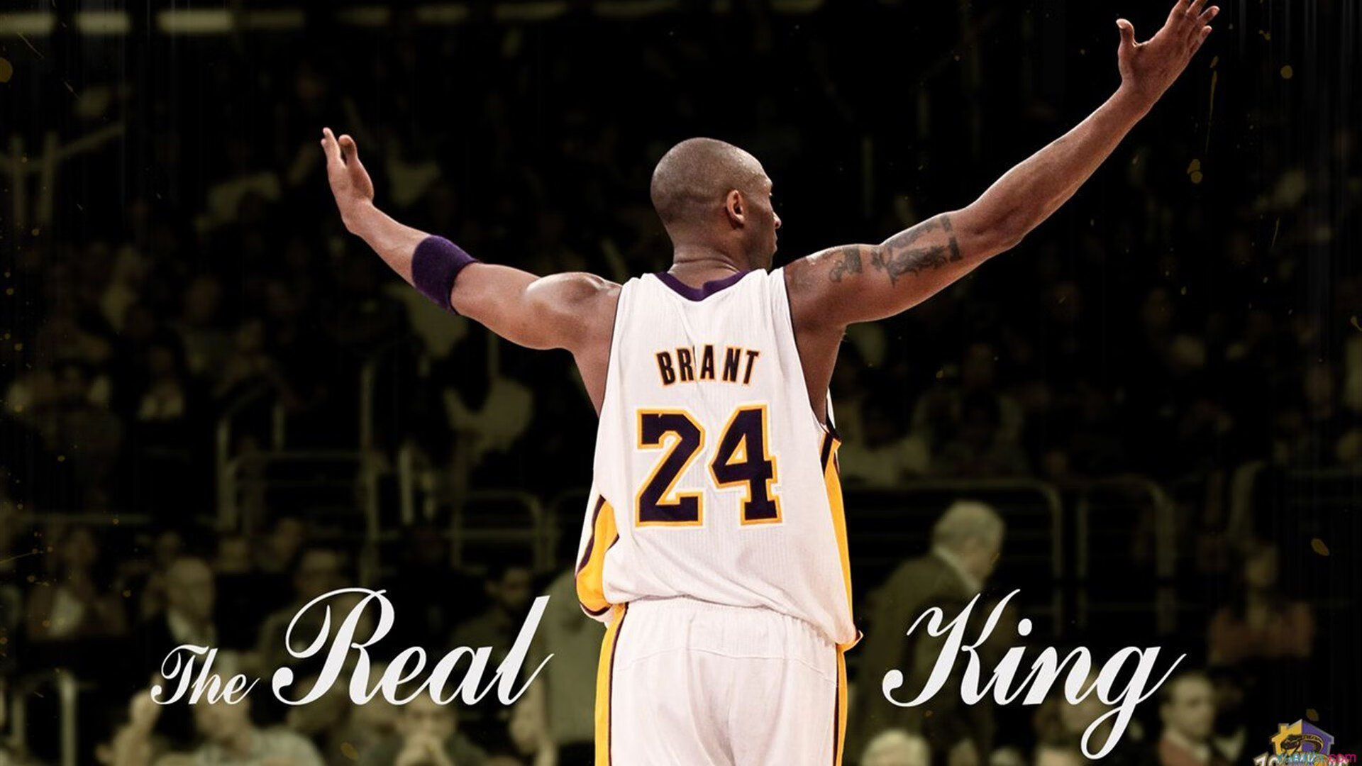 伊萨克，在欧冠半决赛的炼狱之火中，淬炼出真正的巨星光芒